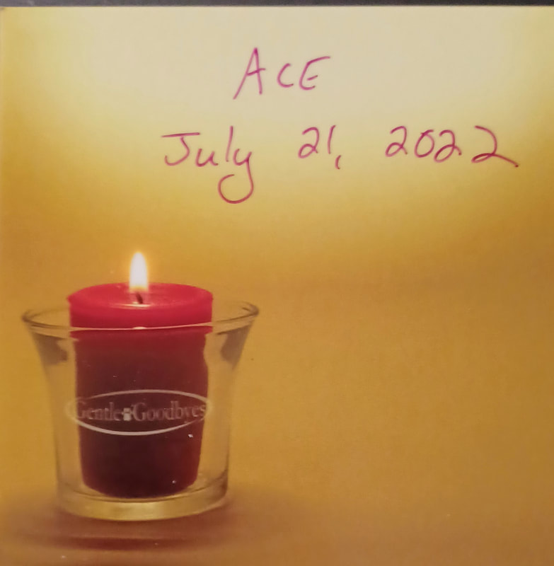 R.I.P. Ace, July 21, 2022