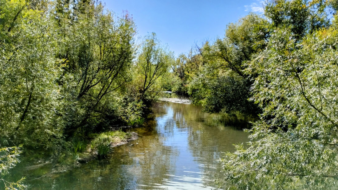 Boise River in the Fall
